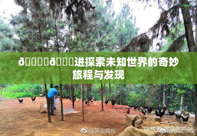 🔞‌🍌进探索未知世界的奇妙旅程与发现