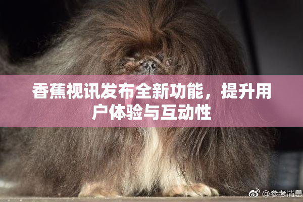 香蕉视讯发布全新功能，提升用户体验与互动性