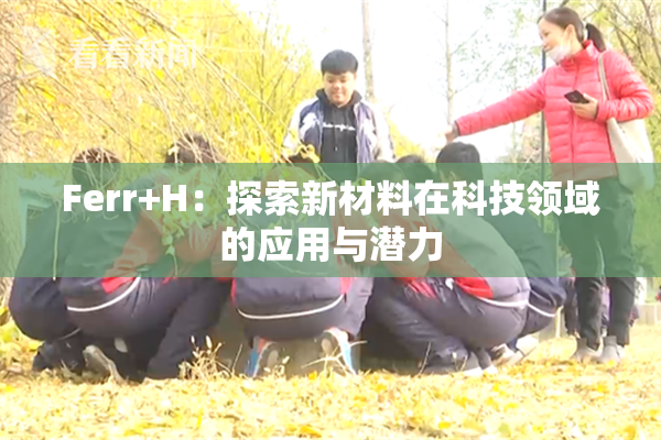 Ferr+H：探索新材料在科技领域的应用与潜力
