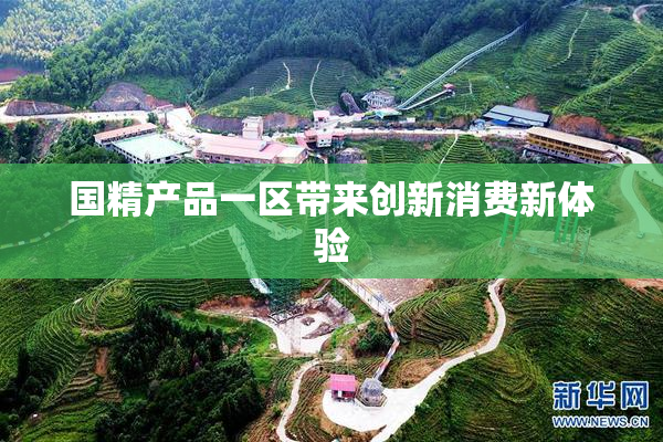 国精产品一区带来创新消费新体验