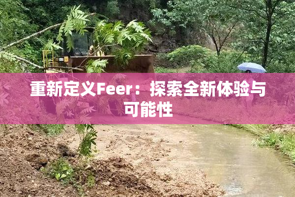 重新定义Feer：探索全新体验与可能性
