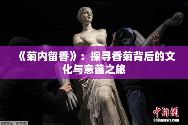 《菊内留香》：探寻香菊背后的文化与意蕴之旅