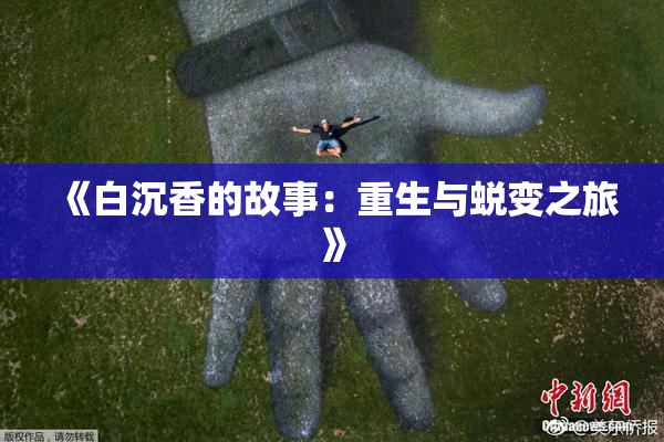 《白沉香的故事：重生与蜕变之旅》