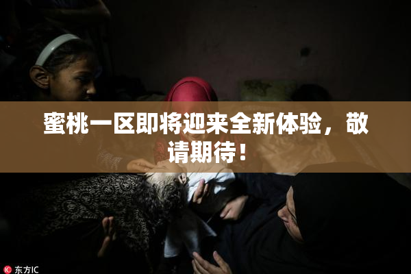 蜜桃一区即将迎来全新体验，敬请期待！