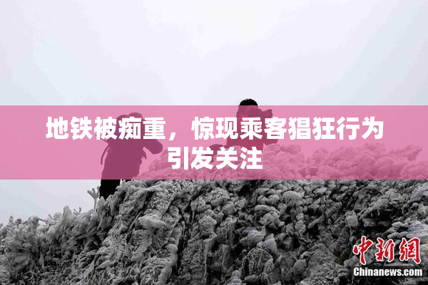 地铁被痴重，惊现乘客猖狂行为引发关注