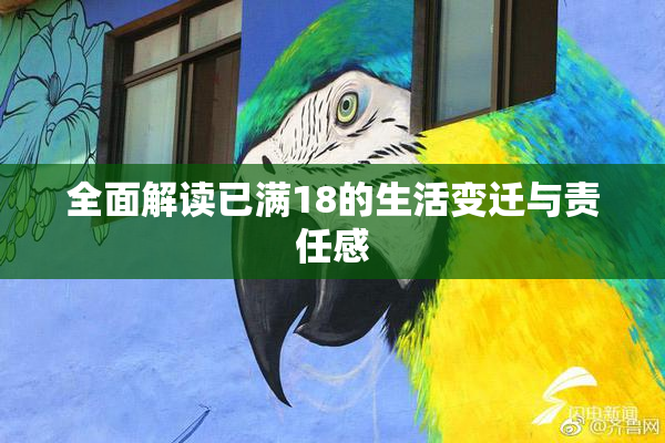 全面解读已满18的生活变迁与责任感