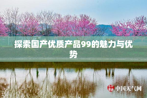 探索国产优质产品99的魅力与优势