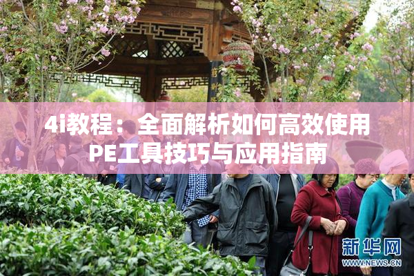 4i教程：全面解析如何高效使用PE工具技巧与应用指南