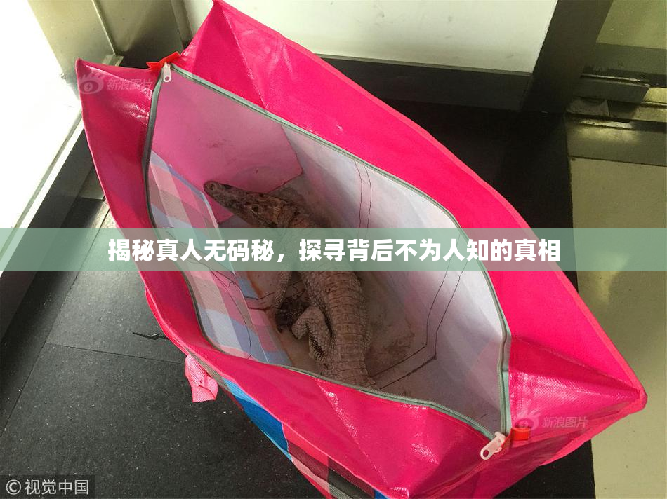 揭秘真人无码秘，探寻背后不为人知的真相