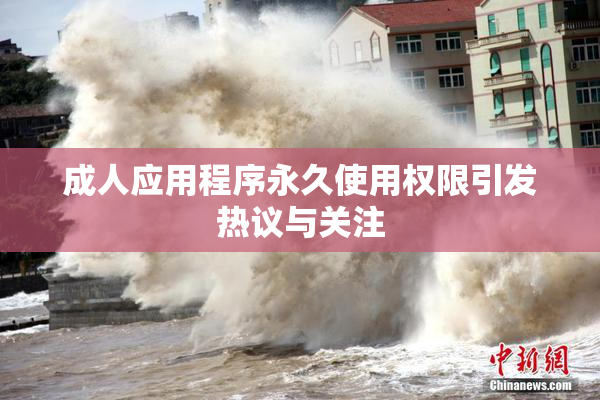 成人应用程序永久使用权限引发热议与关注