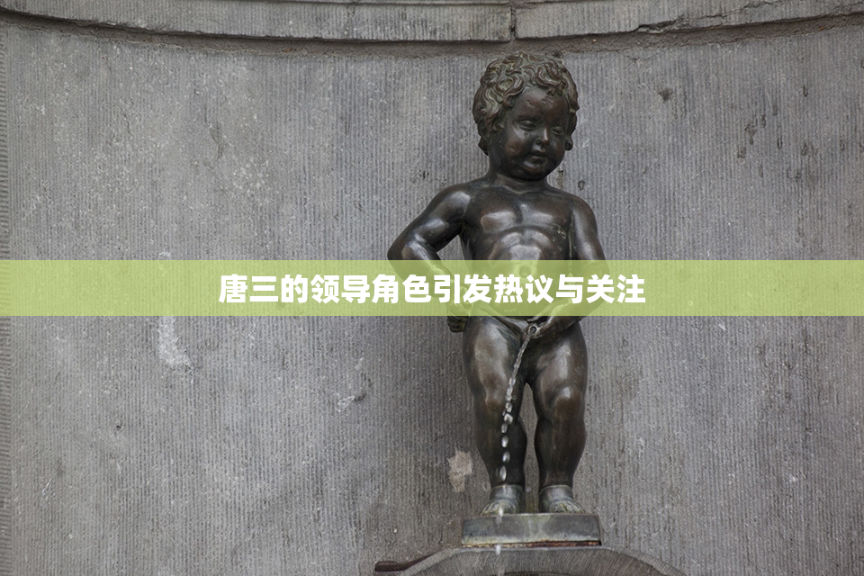 唐三的领导角色引发热议与关注