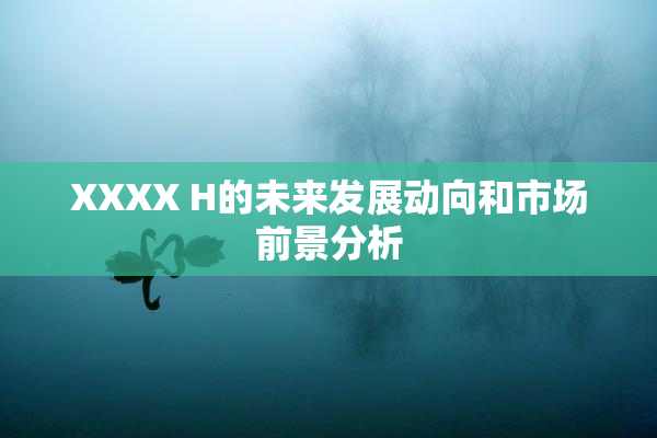 XXXX H的未来发展动向和市场前景分析