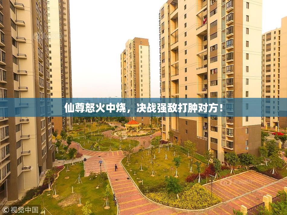 仙尊怒火中烧，决战强敌打肿对方！