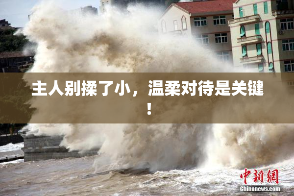 主人别揉了小，温柔对待是关键！
