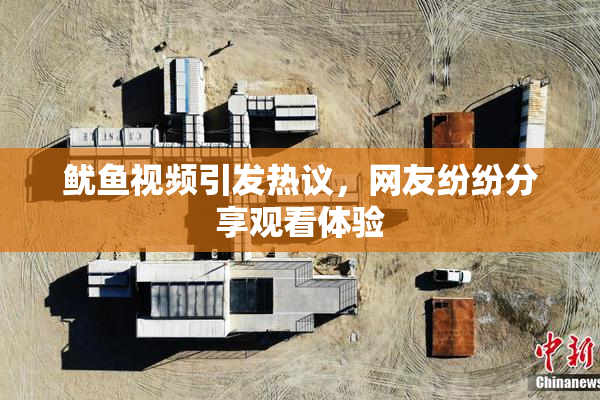 鱿鱼视频引发热议，网友纷纷分享观看体验