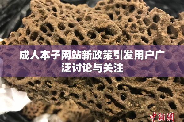 成人本子网站新政策引发用户广泛讨论与关注