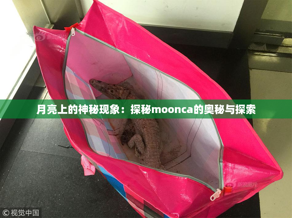 月亮上的神秘现象：探秘moonca的奥秘与探索