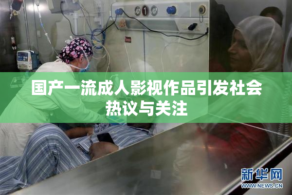 国产一流成人影视作品引发社会热议与关注