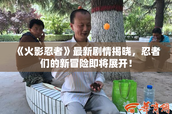 《火影忍者》最新剧情揭晓，忍者们的新冒险即将展开！