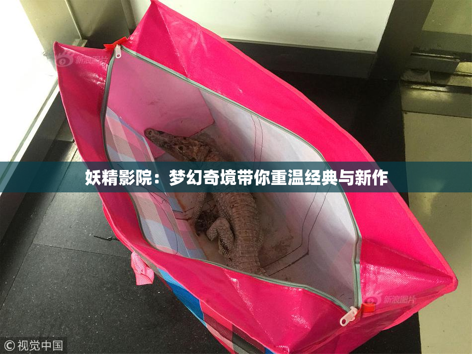 妖精影院：梦幻奇境带你重温经典与新作
