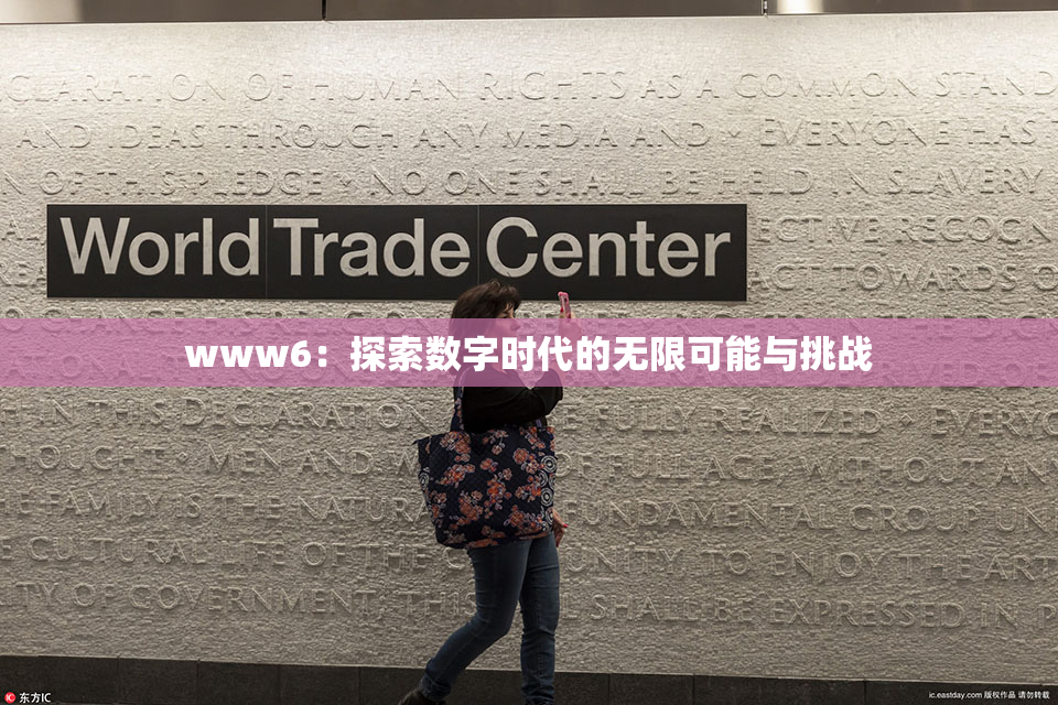 www6：探索数字时代的无限可能与挑战