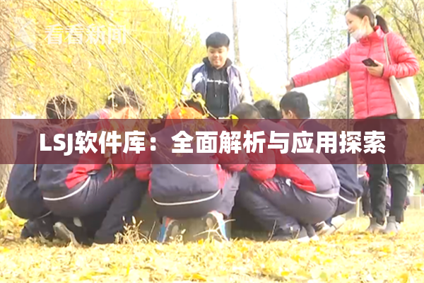 LSJ软件库：全面解析与应用探索