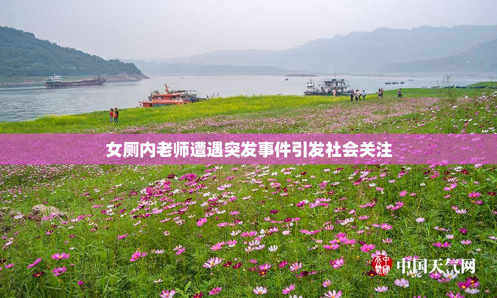 女厕内老师遭遇突发事件引发社会关注