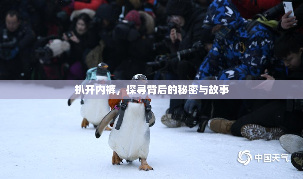扒开内裤，探寻背后的秘密与故事