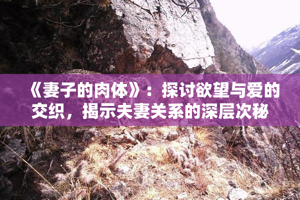 《妻子的肉体》：探讨欲望与爱的交织，揭示夫妻关系的深层次秘密。