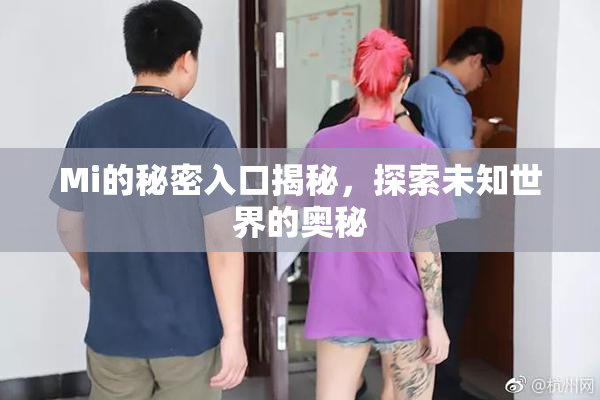 Mi的秘密入口揭秘，探索未知世界的奥秘