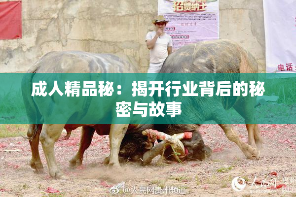 成人精品秘：揭开行业背后的秘密与故事