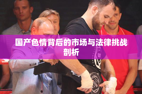 国产色情背后的市场与法律挑战剖析