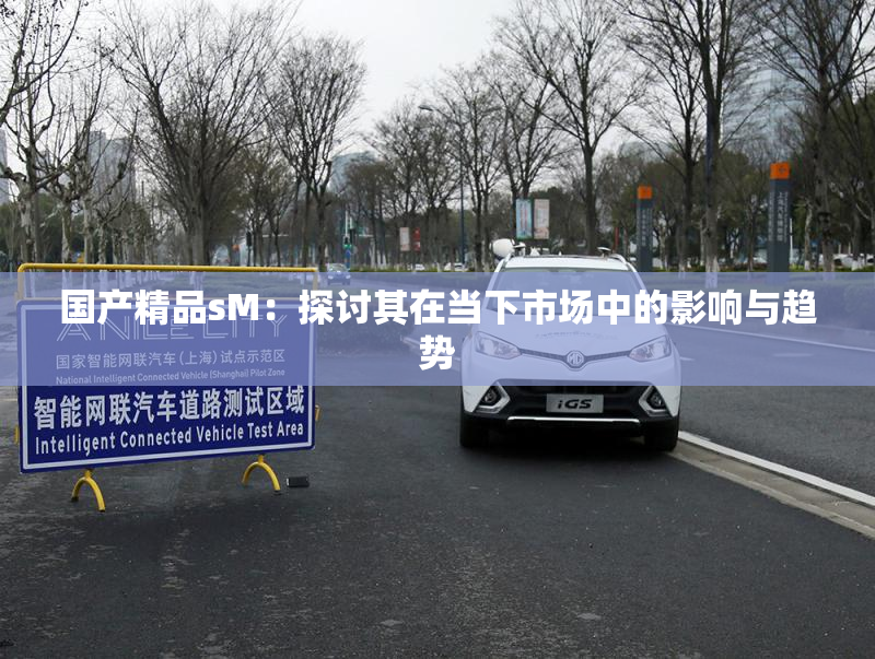 国产精品sM：探讨其在当下市场中的影响与趋势