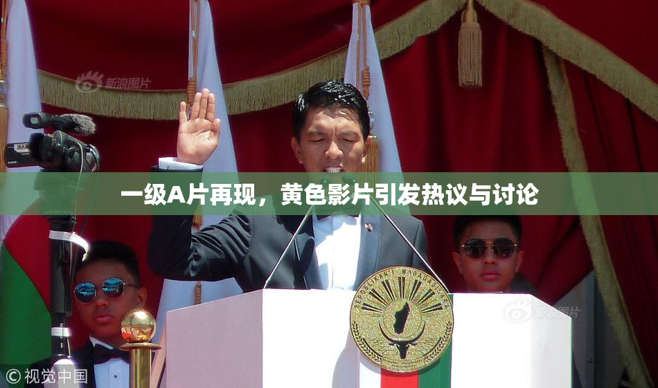 一级A片再现，黄色影片引发热议与讨论