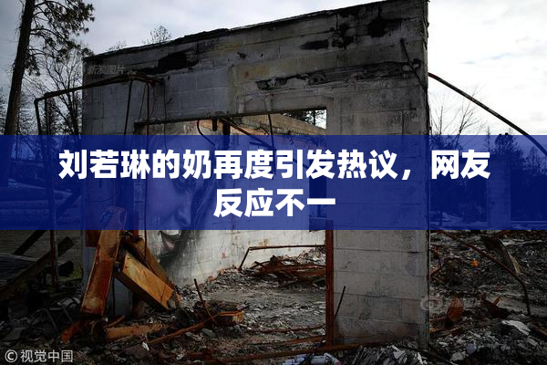 刘若琳的奶再度引发热议，网友反应不一
