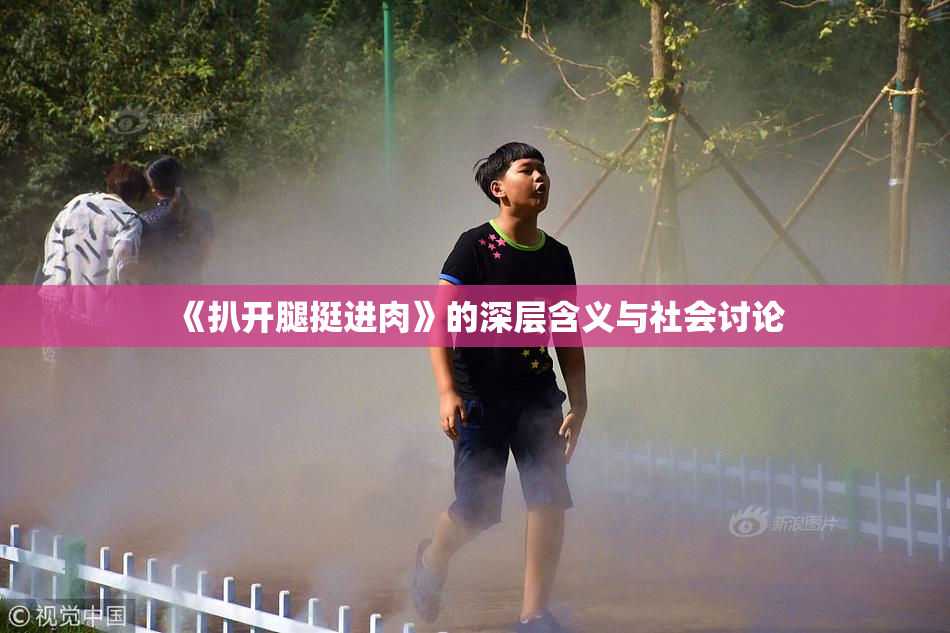 《扒开腿挺进肉》的深层含义与社会讨论