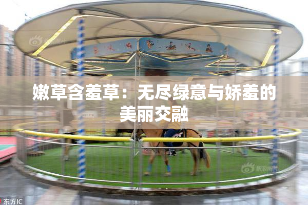 嫩草含羞草：无尽绿意与娇羞的美丽交融