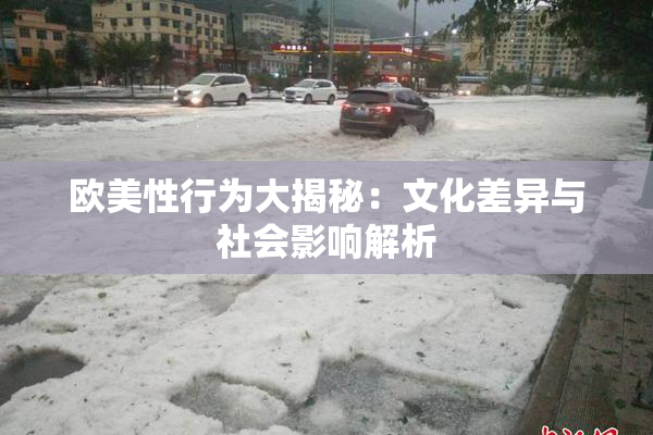 欧美性行为大揭秘：文化差异与社会影响解析