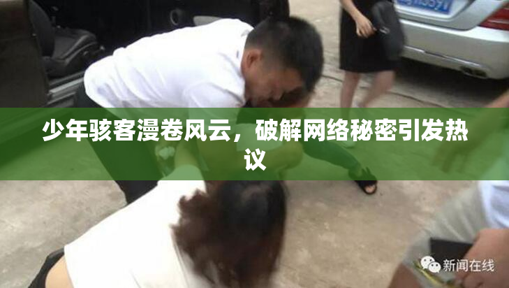 少年骇客漫卷风云，破解网络秘密引发热议