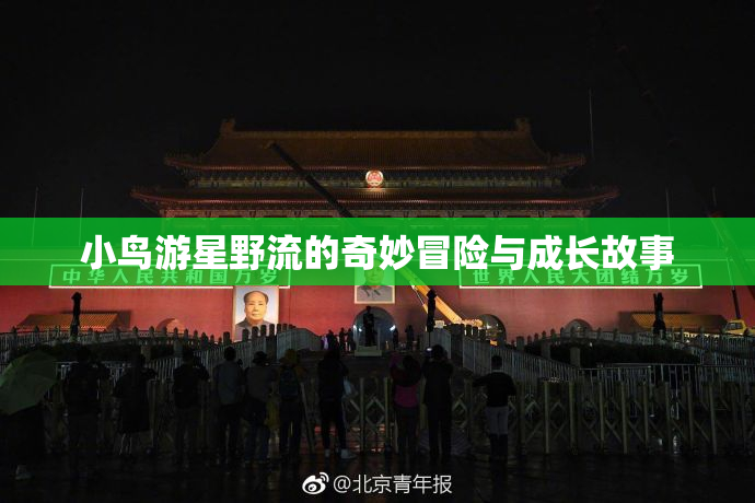小鸟游星野流的奇妙冒险与成长故事