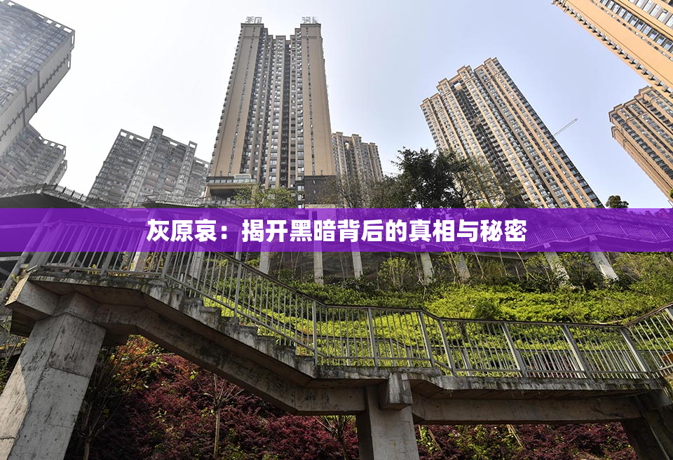 灰原哀：揭开黑暗背后的真相与秘密