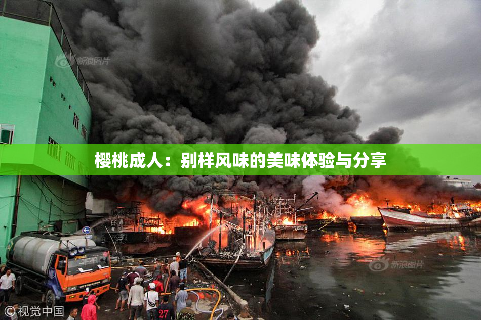 樱桃成人：别样风味的美味体验与分享