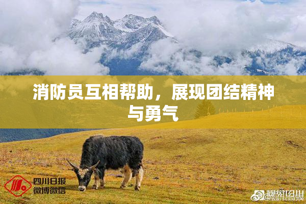 消防员互相帮助，展现团结精神与勇气