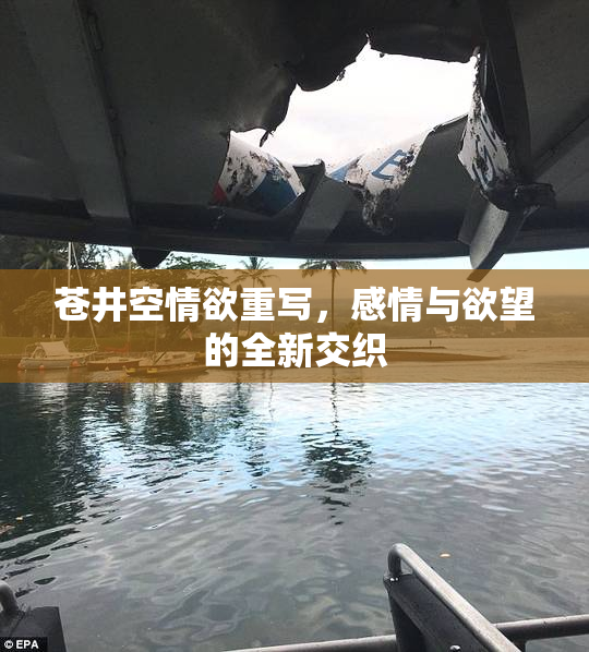 苍井空情欲重写，感情与欲望的全新交织