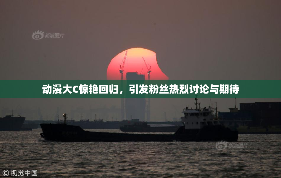 动漫大C惊艳回归，引发粉丝热烈讨论与期待