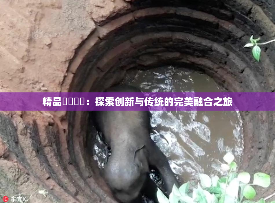精品❌‌❌‌：探索创新与传统的完美融合之旅
