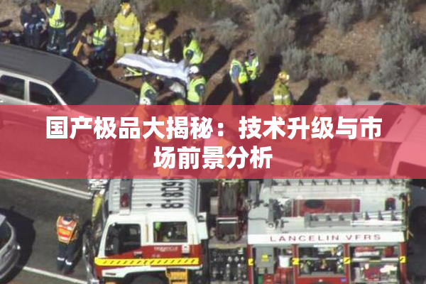 国产极品大揭秘：技术升级与市场前景分析