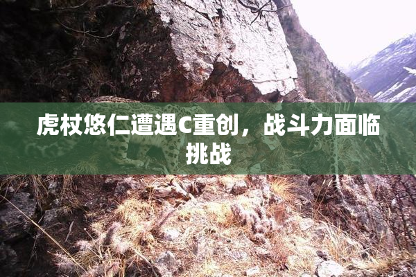 虎杖悠仁遭遇C重创，战斗力面临挑战