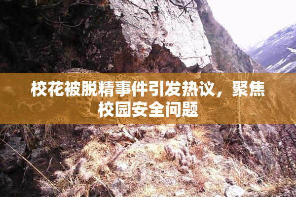 校花被脱精事件引发热议，聚焦校园安全问题