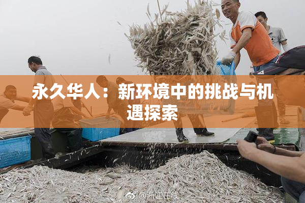 永久华人：新环境中的挑战与机遇探索
